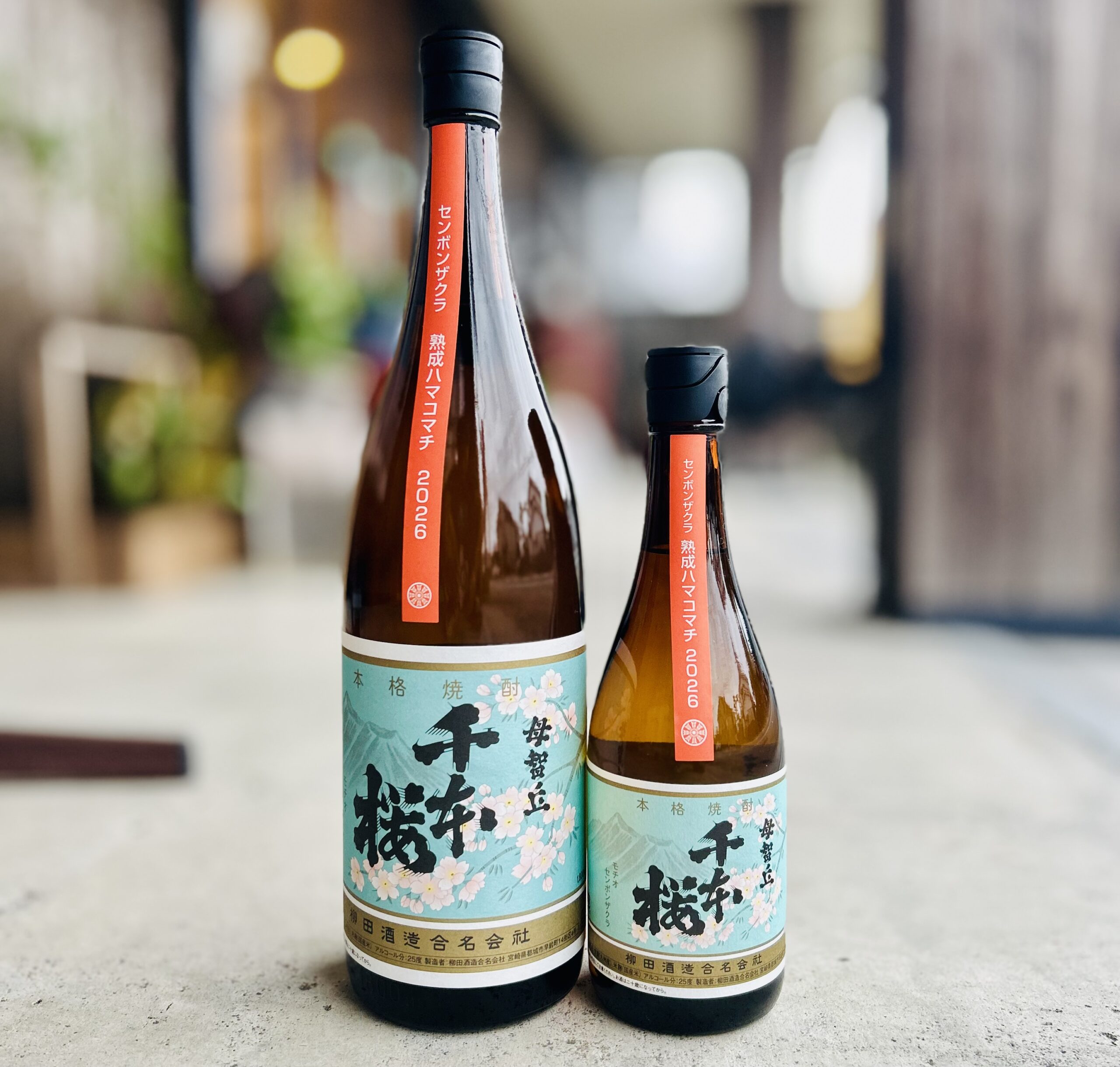MO-3648 子供帯 桜の花模様 濃青色 千本桜 熟成ハマコマチ 2026 | あんどう酒店
